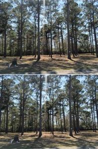 1148 Fiddlehead Way #550, Myrtle Beach, SC, 29579
