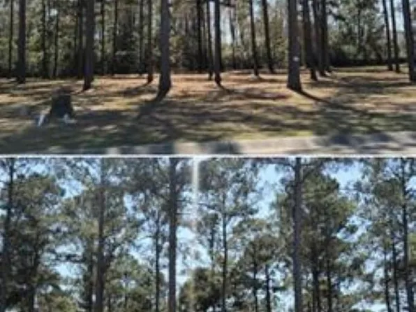 1152 Fiddlehead Way #551, Myrtle Beach, SC 29579