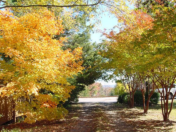 Back entrance lane