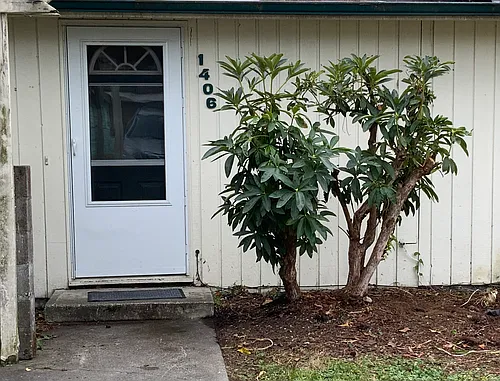 1406 Palm Ave SE Photo 1