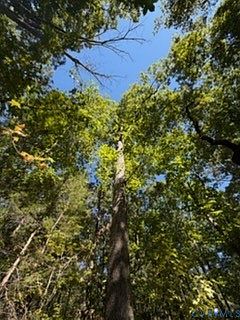 2nd image of 0 Hancock Mill Rd