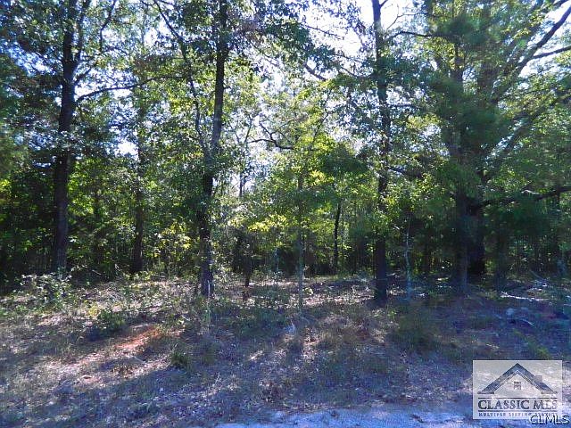 1st image of 0 Stephens Salem Road