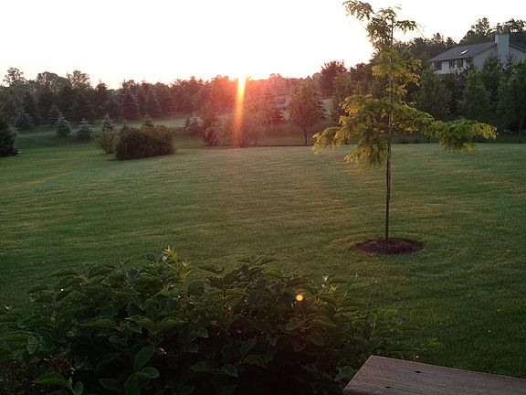 Back Yard, Beautiful Sunrise