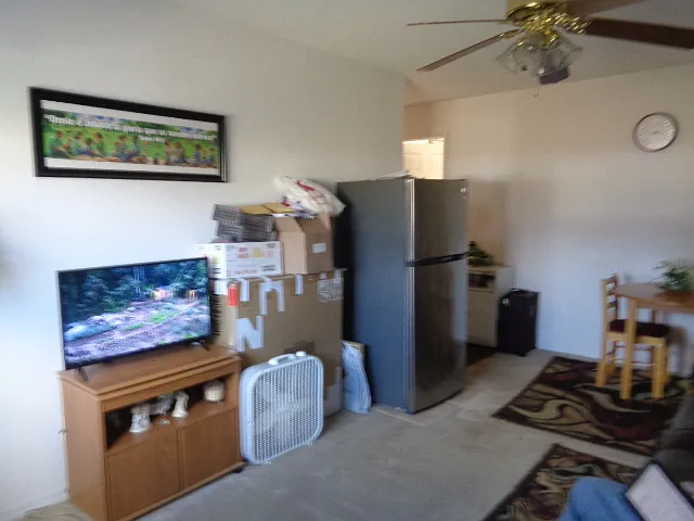 Inlaw suite living/dining area