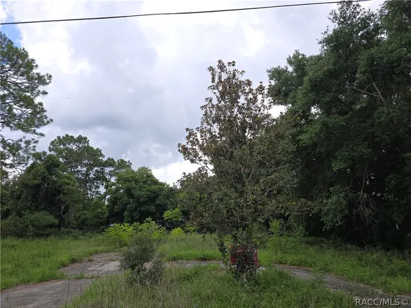 5910 W Pine Cir, Crystal River, FL 34429