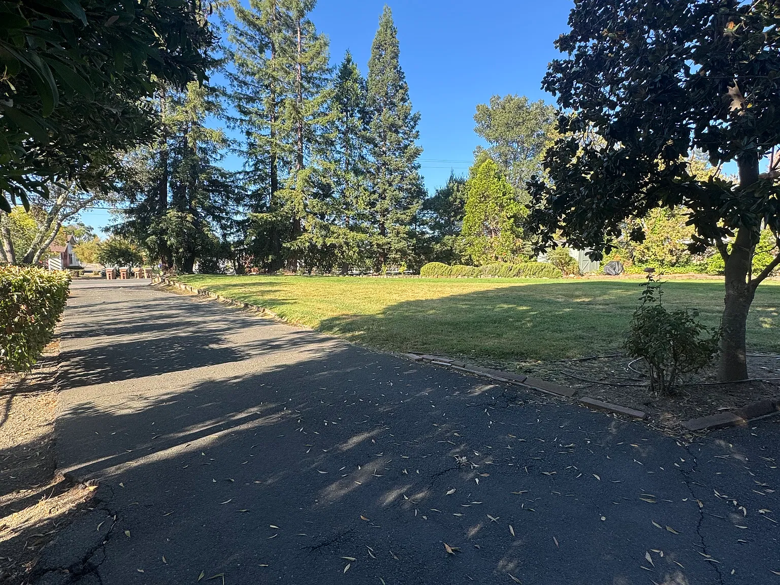4 bed, $5,800 — Photo 3