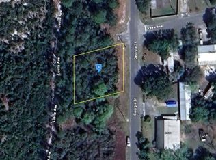 45705 Georgia St LOT 1, Paisley, FL 32767