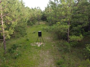 91 Regan Rd, Foxworth, MS 39483