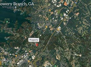 3-6244 Mount Salem Cir, Flowery Branch, GA 30542