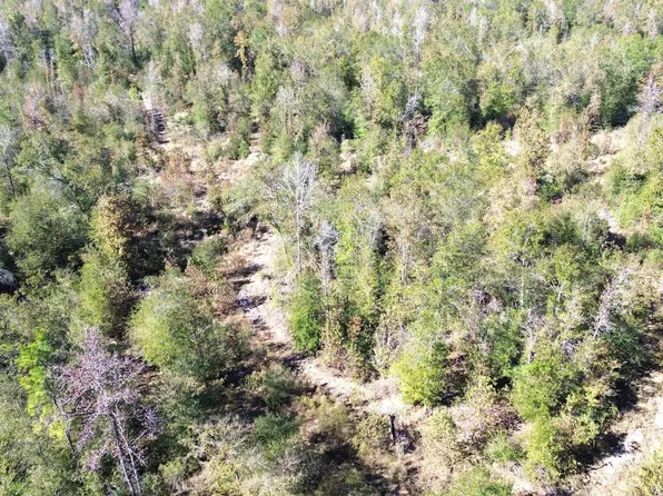 Fm 1280e, Lovelady, TX 75851