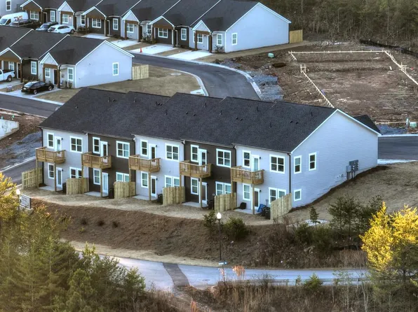 Unit 7 Grove Loop, Blue Ridge, GA 30513