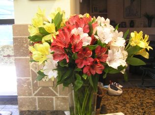 2719 Oak Bend Ct, New Port Richey, FL 34655