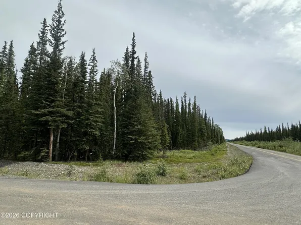 L1 B7 Borealis & Mackenzie Rd, Tok, AK 99780