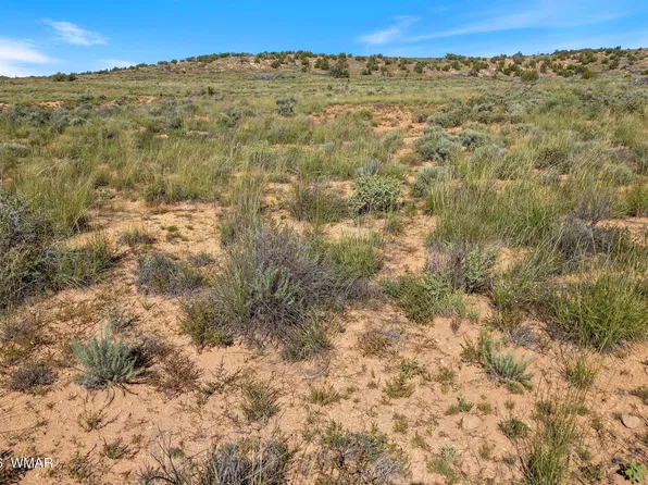 W Flake Ave, Snowflake, AZ 85937