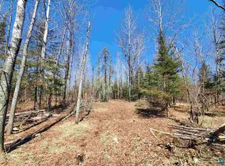 PARCEL 1 Highway 3, Two Harbors, MN 55616