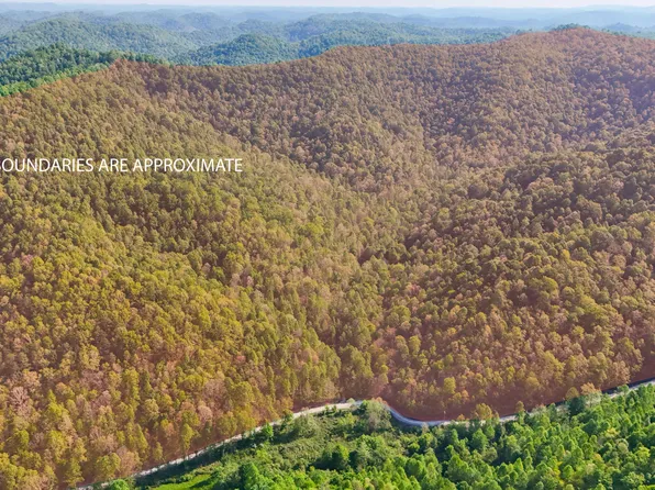 0 Hawn Branch Rd, Hinkle, KY 40953