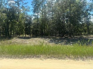 0 SW 134th Ave, Dunnellon, FL 34432