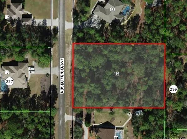 4579 N Butternut Ave, Beverly Hills, FL 34465