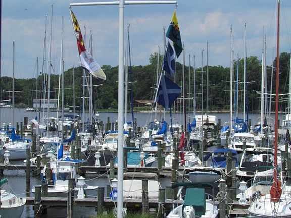 Magothy Marina