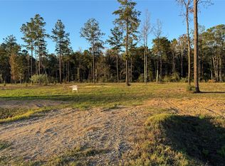 20039 Kincaid Dr, Conroe, TX 77306