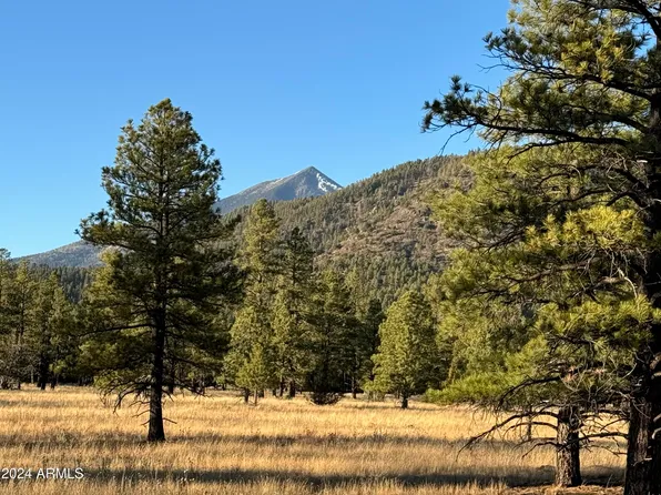 Lot 5 E Hattie Greene -- #5, Flagstaff, AZ 86001