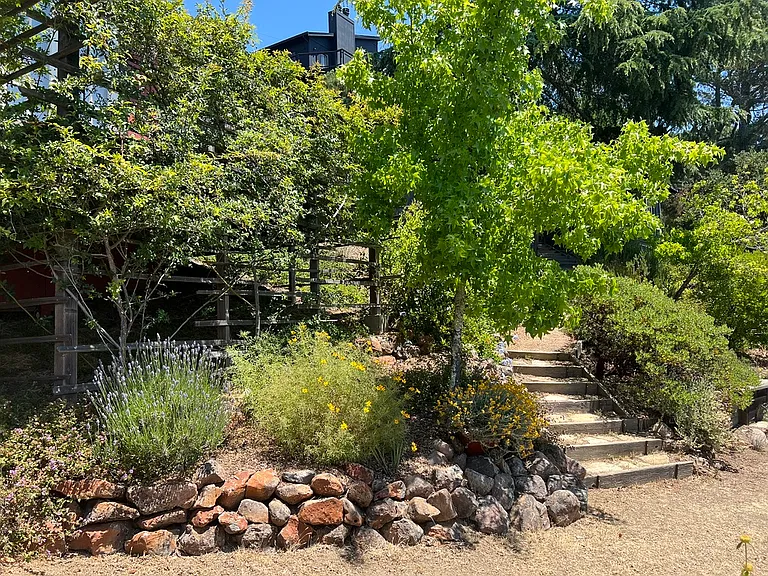 3266 Robinson Dr — Photo 6