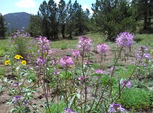 0 Post Rd, Guffey, CO 80820