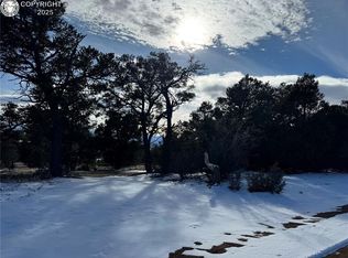 504 Texas Creek Ln, Cotopaxi, CO 81223