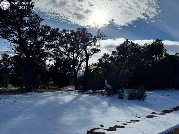 504 Texas Creek Ln, Cotopaxi, CO 81223