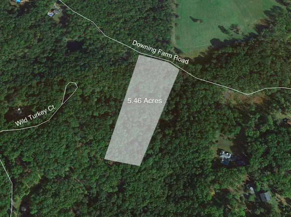 Downing Farm Rd, Front Royal, VA 22630