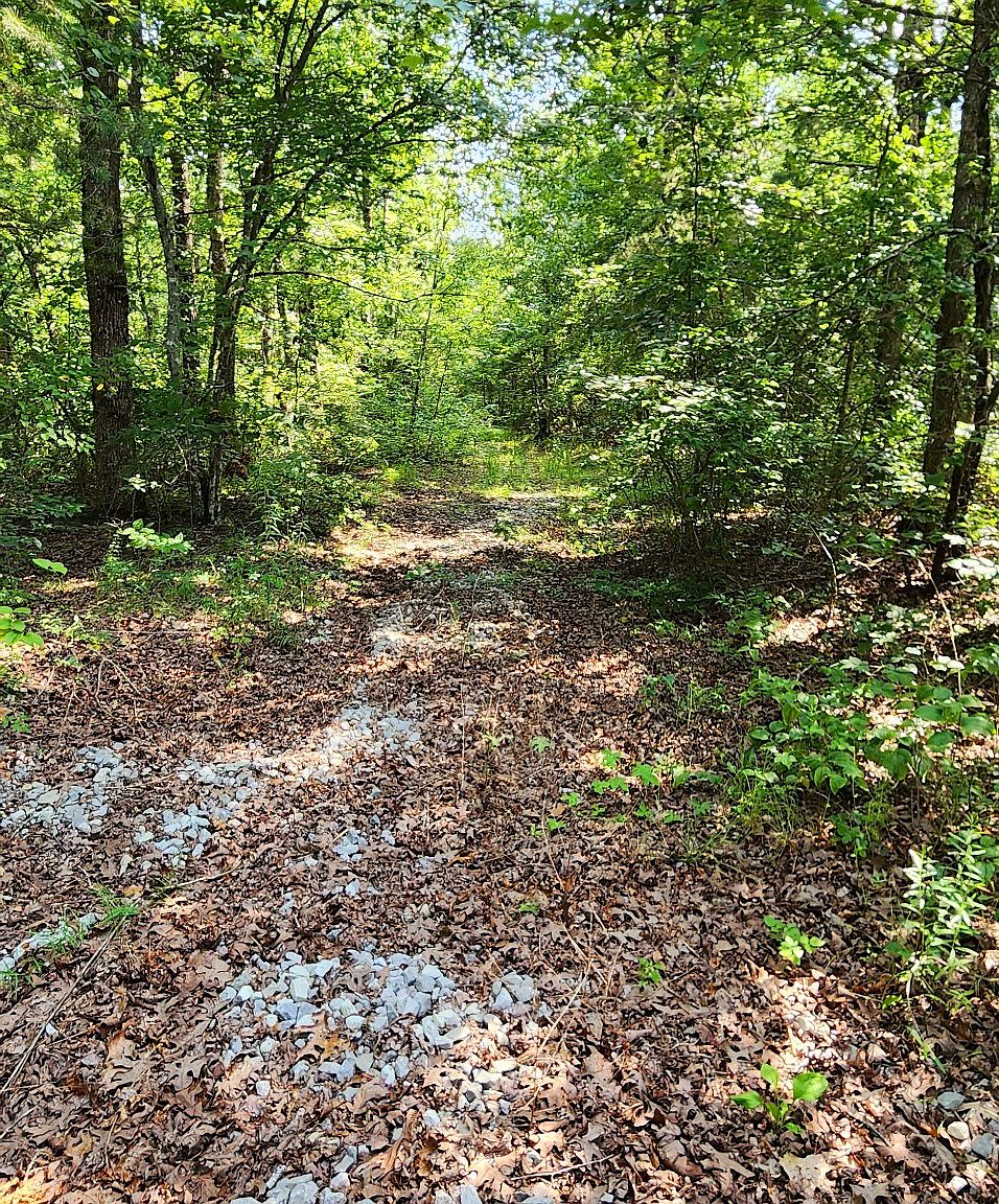 0 Hunters Trail Way LOT I102, Altamont, TN 37301 Zillow