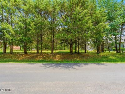 115 Eladi Trl, Vonore, TN, 37885