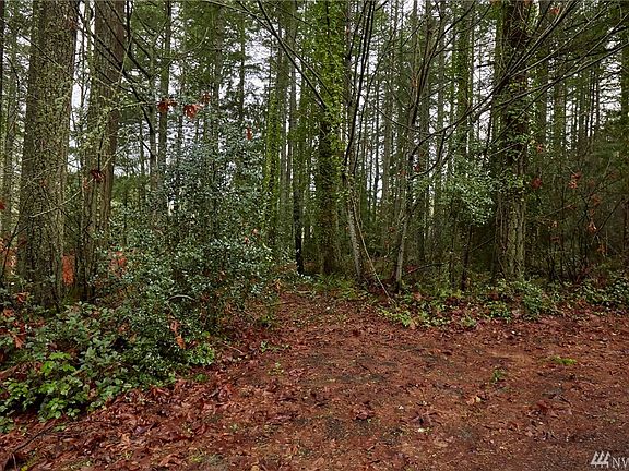 Timber, timber and more timber :) 