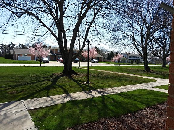 Front Park-Like View Inside the Condo Unit