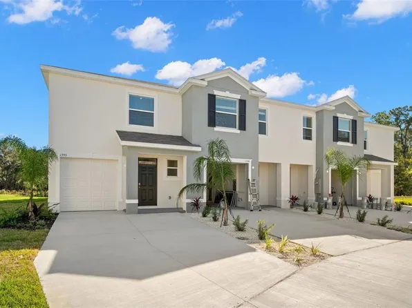 1393 COLT CREEK PLACE, WESLEY CHAPEL, FL 33543