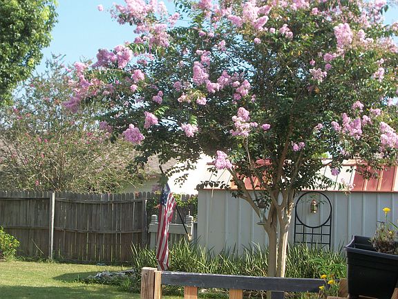 garden area & blooming!