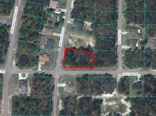 SW 131st Loop, Ocala, FL 34473