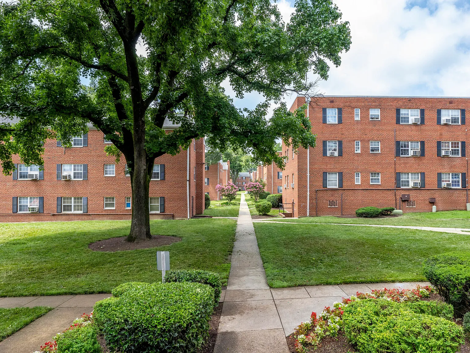 Univeristy City Apartments — Photo 2