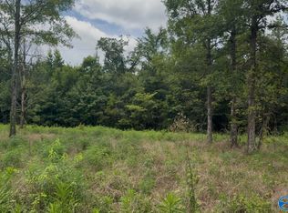 60 County Road 32, Piedmont, AL 36272