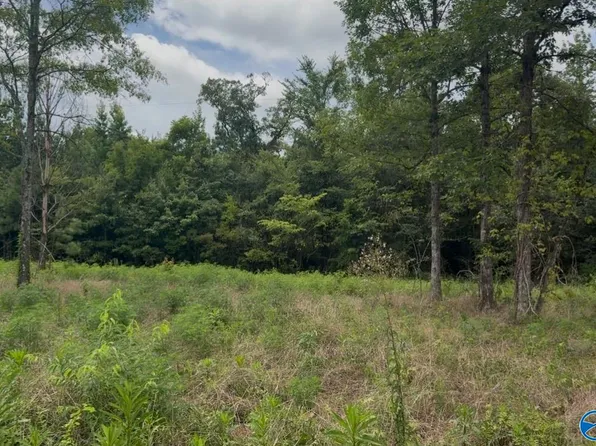 60 County Road 32, Piedmont, AL 36272