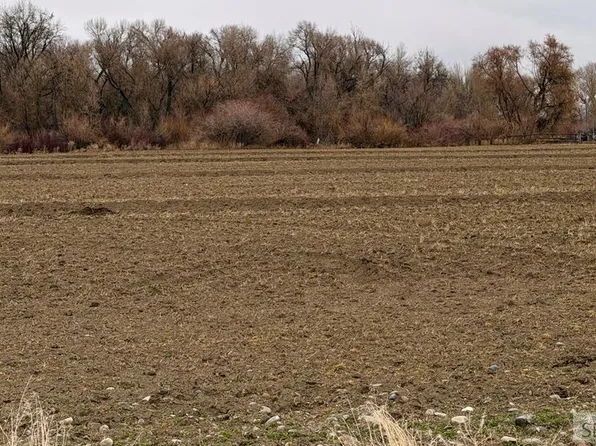 E 530 N, Rigby, ID 83442