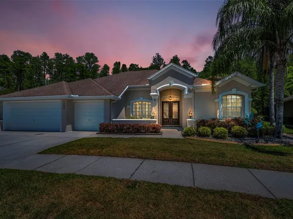 15229 Wind Whisper Dr, Odessa, FL 33556