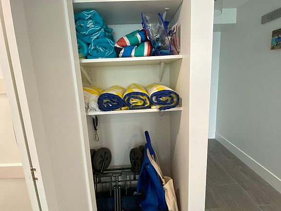 hall closet - beach towels & carts for groceries