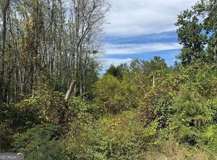 0 Lake Mayers Rd, Baxley, GA 31513