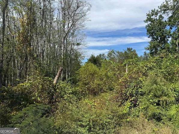 0 Lake Mayers Rd, Baxley, GA 31513