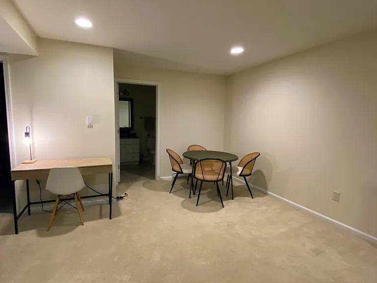 Lower Level living room