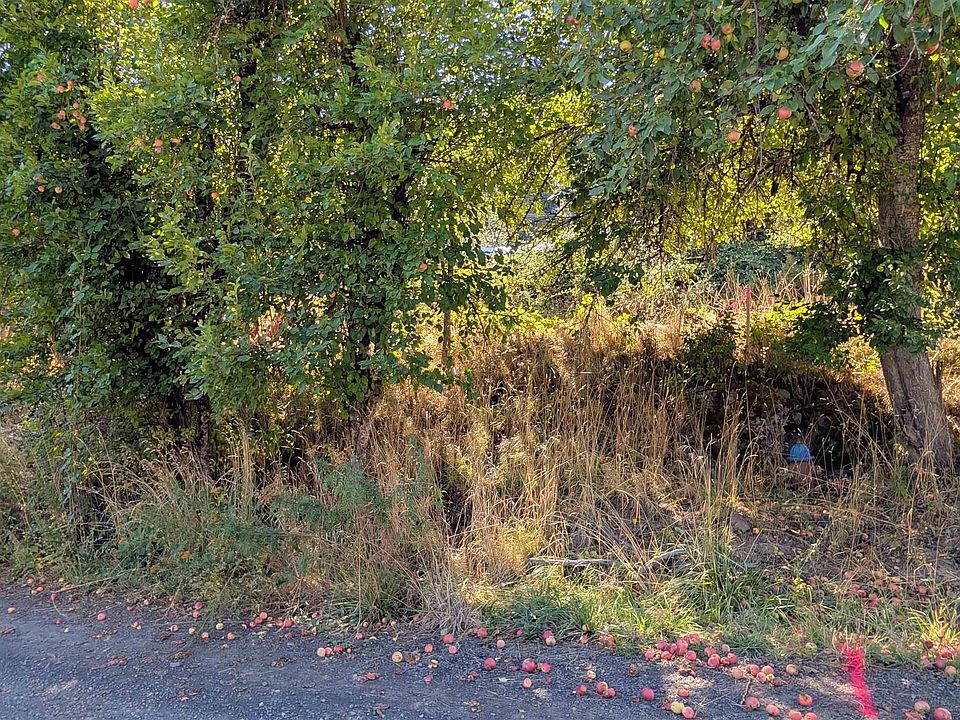 1st image of Pine St Lot 1
