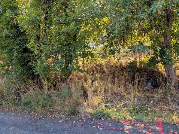 Pine St Lot 1, Peck, ID 83545