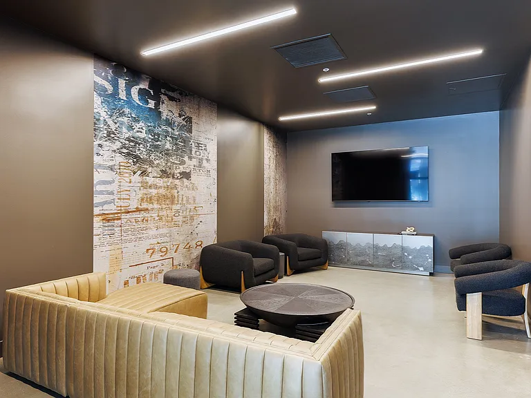 Cinehub Media Room