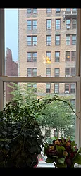 304 West 88th Street, #3D